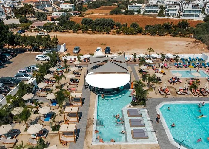 Somantonia 普罗塔拉斯